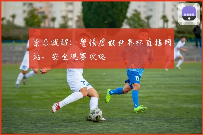 紧急提醒:警惕虚假世界杯直播网站,安全观赛攻略