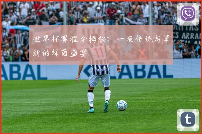 世界杯赛程全揭秘:一场传统与革新的绿茵盛宴