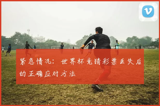 紧急情况:世界杯竞猜彩票丢失后的正确应对方法