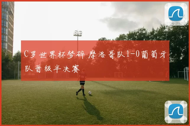 C罗世界杯梦碎 摩洛哥队1-0葡萄牙队晋级半决赛