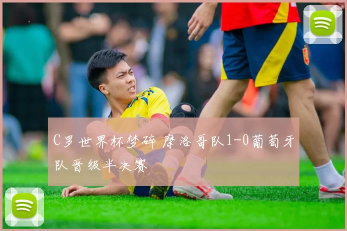 C罗世界杯梦碎 摩洛哥队1-0葡萄牙队晋级半决赛