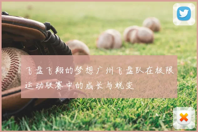 飞盘飞翔的梦想广州飞盘队在极限运动联赛中的成长与蜕变