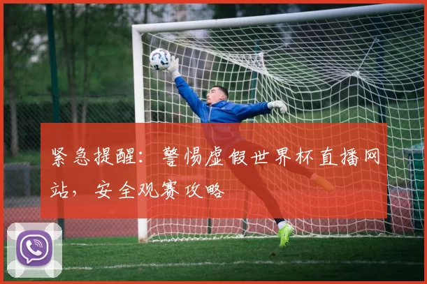 紧急提醒:警惕虚假世界杯直播网站,安全观赛攻略